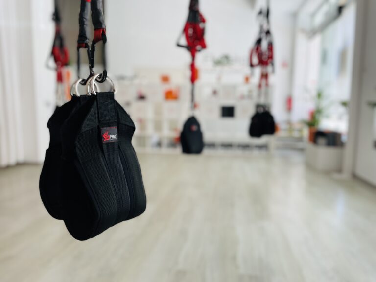bungee fitness 4d pro